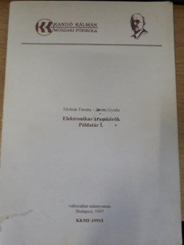 Zsom Gyula Molnr Ferenc - Elektronikus ramkrk pldatr I.