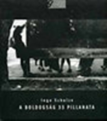 Ingo Schulze - A boldogs�g 33  pillanata