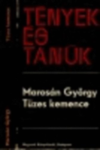 Marosn Gyrgy - Tzes kemence (Tnyek s tank)