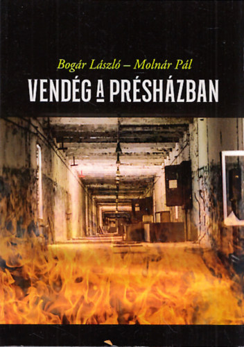 Molnr Pl Bogr Lszl - Vendg a prshzban