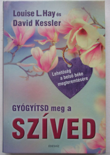 David Kessler; Louise L. Hay - Gygytsd meg a szved