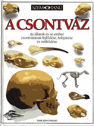 Steve Parker - A csontvz (Szemtan)