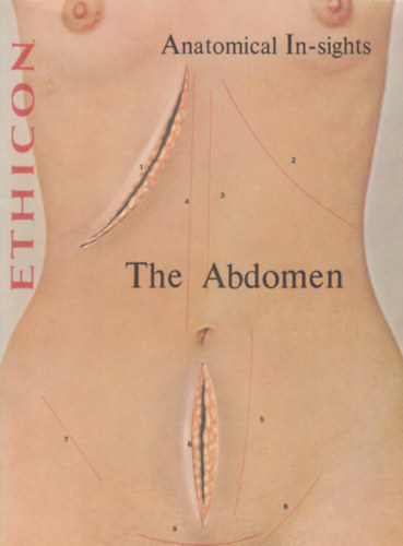 Anatomical In-sights: The Abdomen