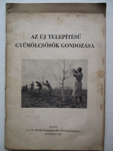 Ivády SÁndor - Az új telepítésű gyümölcsösök gondozása