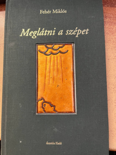 Fehr Mikls - Megltni a szpet
