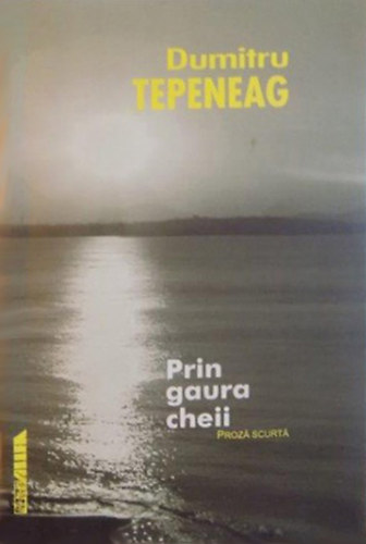 Dumitru Tepeneag - Prin gaura cheii