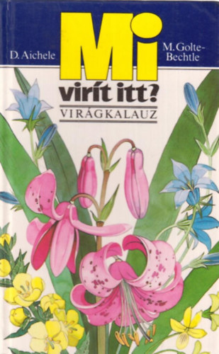 D. Aichele; M. Golte Bechtle - Mi virt itt? (virgkalauz)