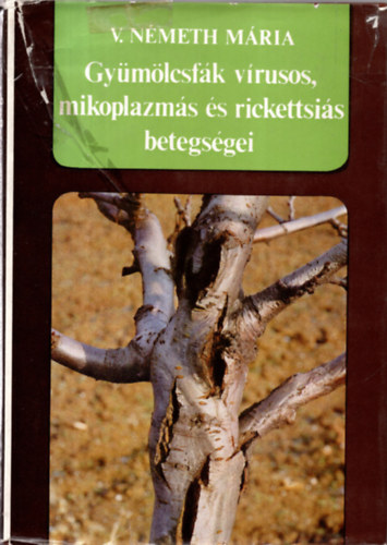 V. Nmeth Mria - Gymlcsfk vrusos, mikoplazms s rickettsis betegsgei