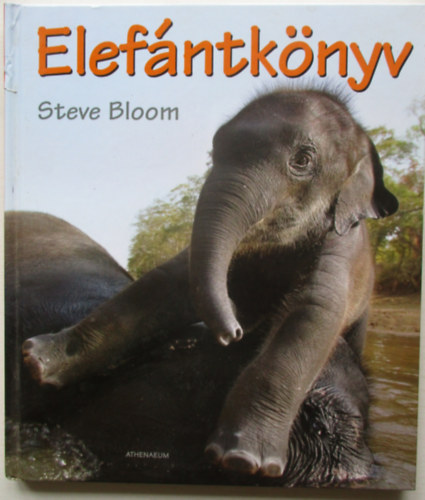 Steve Bloom - Elefntknyv