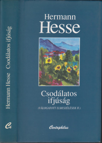 Hermann Hesse - Csodlatos ifjsg - Vlogatott elbeszlsek II.