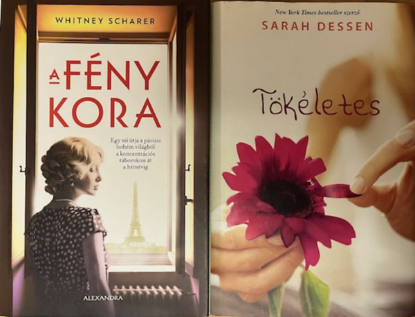 Whitney Scharer Sarah Dessen - Kalandregény könyvcsomag (2 kötet)