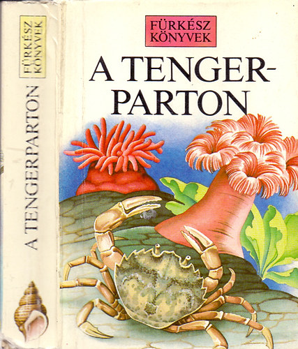 R.-Ray, S. Fitter - A tengerparton \(Frksz knyvek)