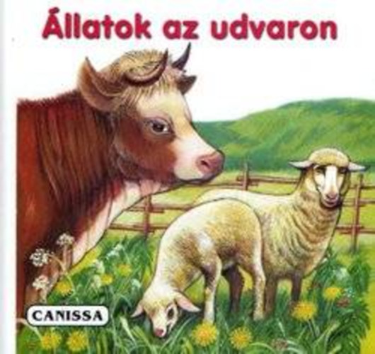 Állatok az udvaron