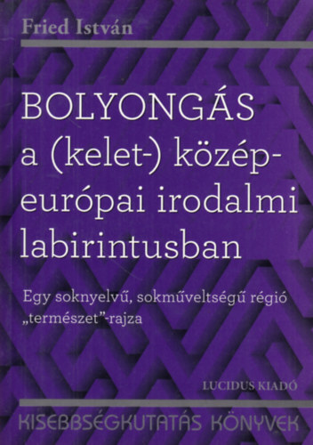 Fried Istv�n - Bolyong�s a (kelet-) k�z�p-eur�pai irodalmi labirintusban