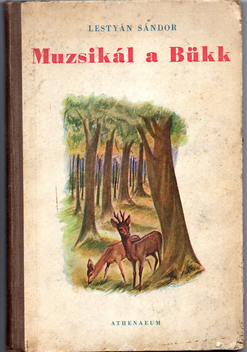 Lestyn Sndor - Muzsikl a Bkk