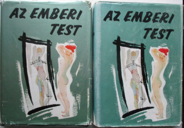 dr. Ob�l Ferenc - Az emberi test I-II.