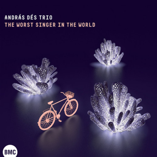 Ds Andrs Trio - The Worst Singer in the World (1 CD)