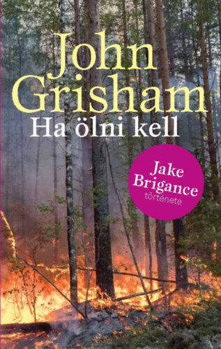 John Grisham - Ha lni kell