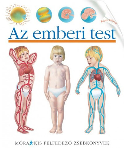 Sylvaine Peyrols - Az emberi test - Kis felfedez zsebknyvek 21.