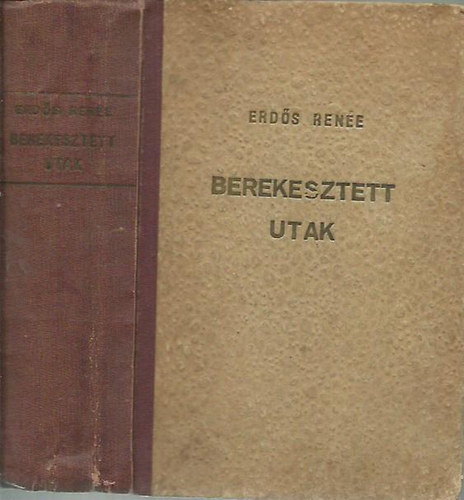 Erds Rene - Berekesztett utak I-II.