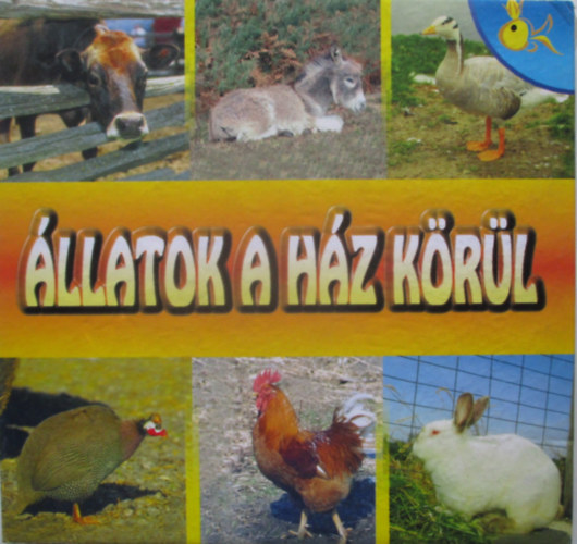 Francesca, Massa, Francesca Bignotti - �llatok a h�z k�r�l