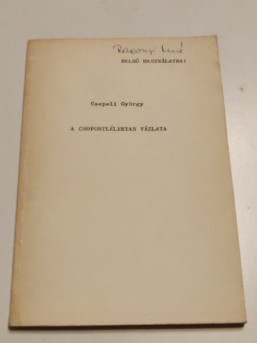 Csepeli Gy�rgy - A csoportl�lektan v�zlata