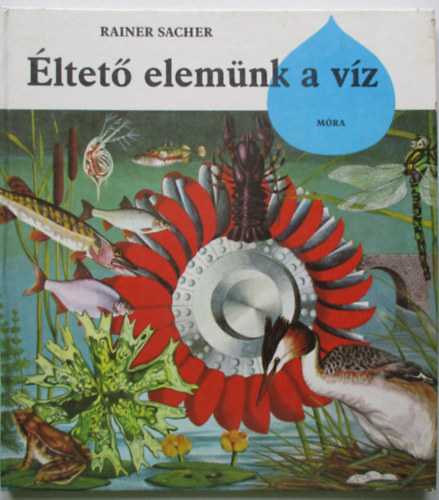 Rainer Sacher - ltet elemnk a vz