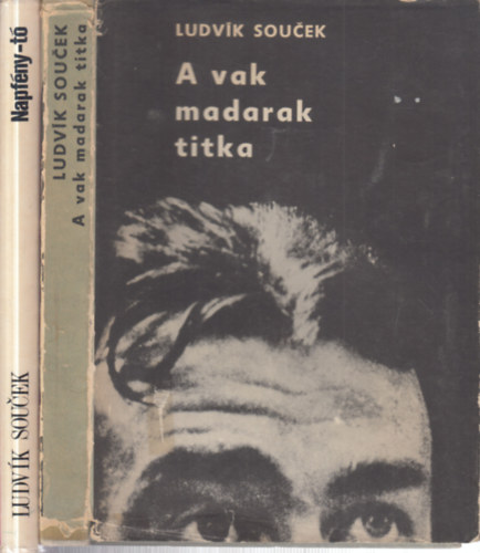 Ludvík Soucek - 2 db. sci-fi (A vak madarak titka + Napfény-tó)
