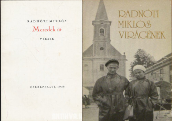 Radnti Mikls - Meredek t - Reprint kiads! + Virgnek ( 2 ktet )