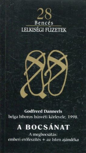 Godfreed Danneels - A bocsnat