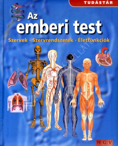 Az emberi test - Szervek - Szervrendszerek - letfunkcik