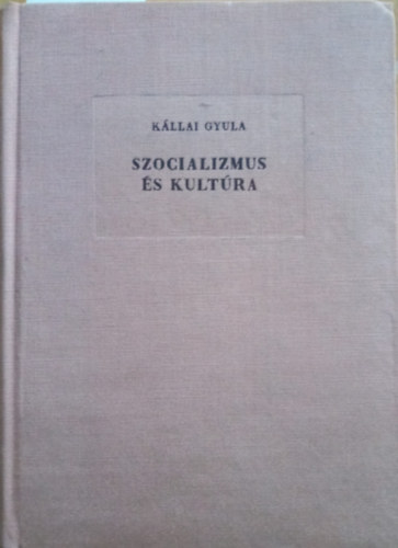 Kllai Gyula - Szocializmus s kultra