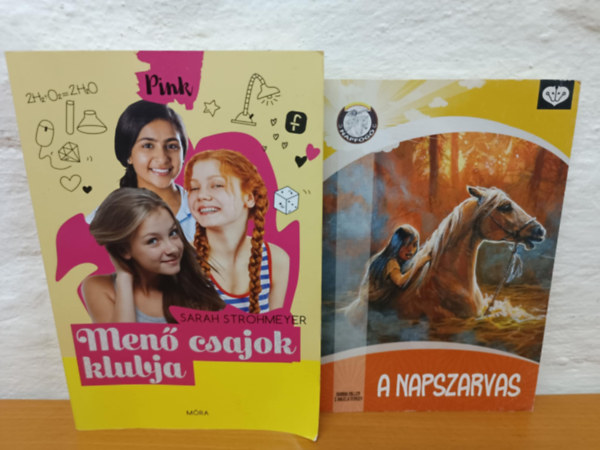 Sarah Strohmeyer Marina Miller-Angela Dorsey - Ifjsgi knyvcsomag
