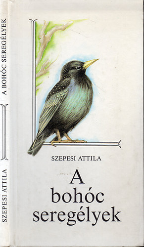 Szepesi Attila - A bohc sereglyek