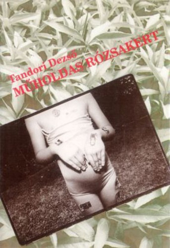 Tandori Dezső - Műholdas rózsakert