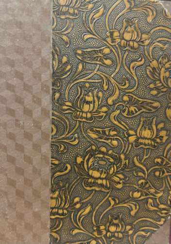 Lambrecht Kálmán - A Mount Everest ostroma (1924)