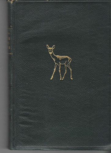 Felix Salten - Bambi gyermekei