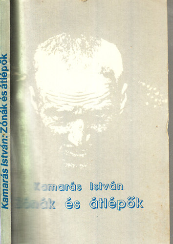 Kamarás István - Zónák és átlépők (A Stalker és különböző világnézetű befogadói)