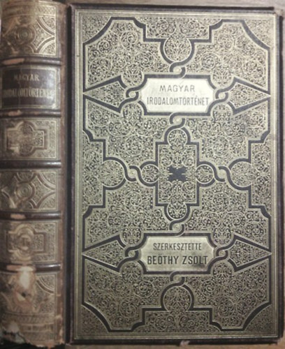 Bethy Zsolt-Badics Ferenc  (szerk.) - Kpes magyar irodalomtrtnet - A magyar irodalom trtnete I. ktet