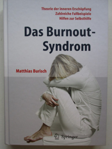 Matthias Burisch - Das Burnout-Syndrom