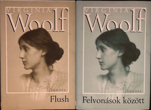 Virginia Woolf - Virginia Woolf knyvcsomag (2 ktet )