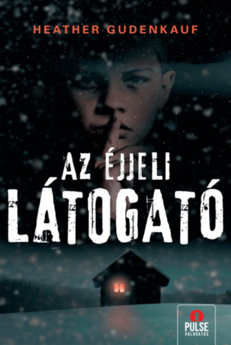 Heather Gudenkauf - Az jjeli ltogat