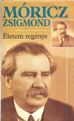 Mricz Zsigmond - letem regnye