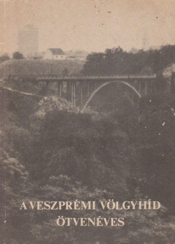 A Veszpr�mi V�lgyh�d �tven�ves (Az �p�t�si �s t�rt�neti kutat�sok eredm�nyei)
