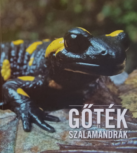 Kovács Tibor - Gőték és szalamandrák