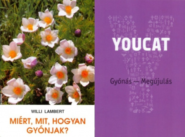 Gehrig Rudolf  Dick Klaus  Meuser Bernhard  S�� Andreas Willi Lambert SJ - 2 db k�nyv a gy�n�sr�l: Mi�rt, mit, hogyan gy�njak? + Youcat - Gy�n�s - Meg�jul�s