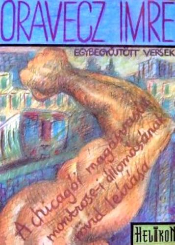 Oravecz Imre - A chicag�i magasvas�t montrose-i �llom�s�nak r�vid le�r�sa