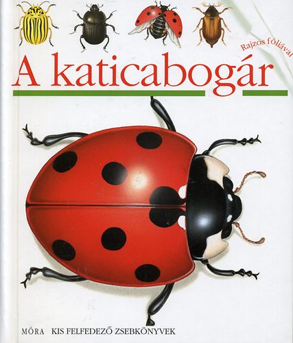 A katicabogár - Kis felfedező zsebkönyvek 2.