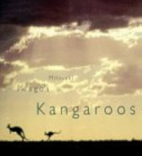 Mitsuaki Iwago's Kangaroos
