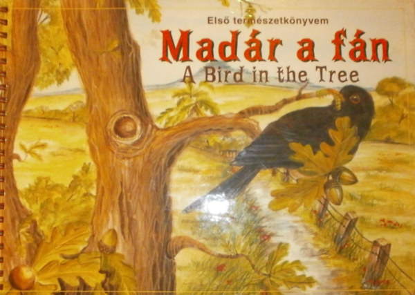 Madr a fn - A Bird in the Tree